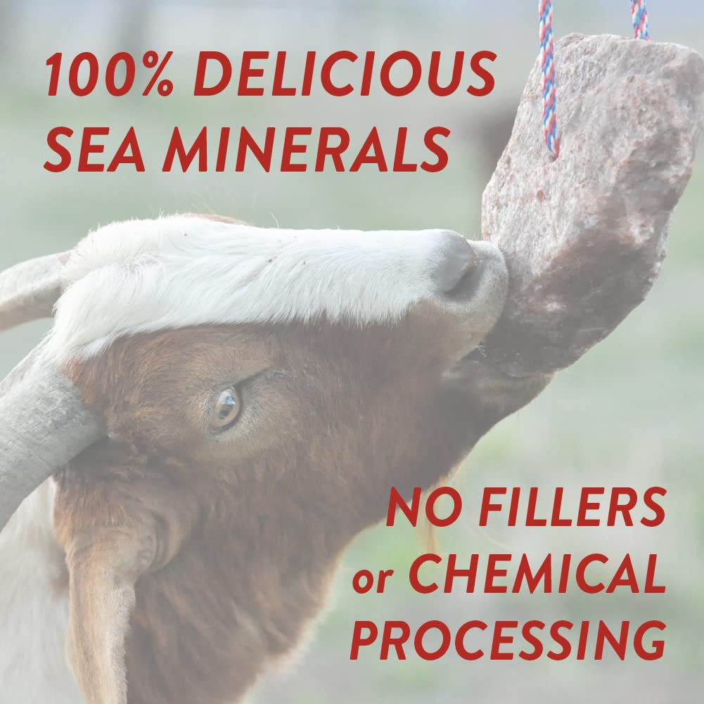 Redmond Goat Mineral Supplement - A Premium sea Salt with Essential Trace Minerals and Vitamins (5 LB)