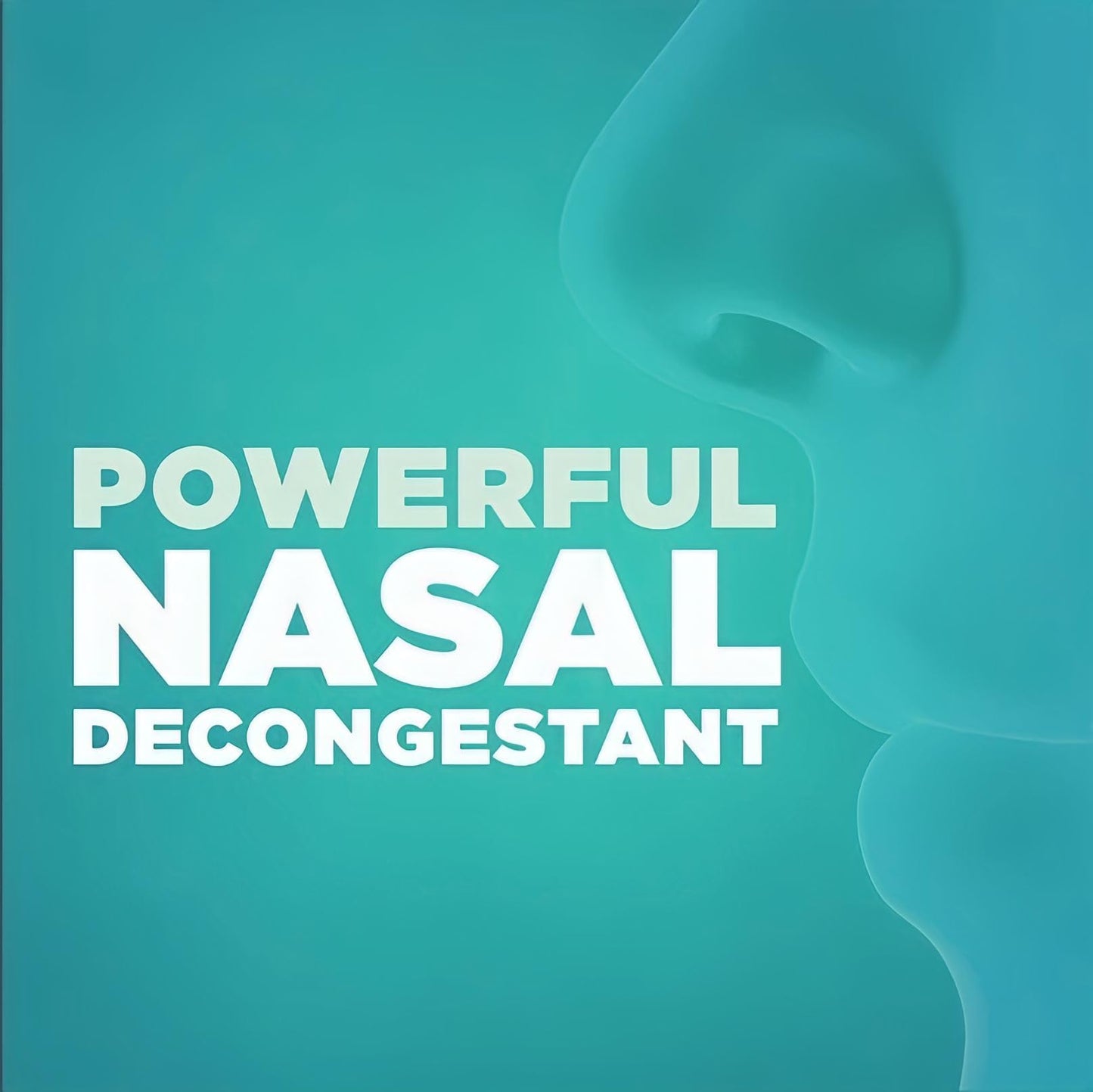 Berkley Jensen No Drip Severe Congestion Nasal Spray - Maximum Strength Decongestant with Oxymetazoline HCl & Menthol - Pump Mist Applicator, No Steroid, 12 Hour Relief, 1 Fluid Ounce (Pack of 3)