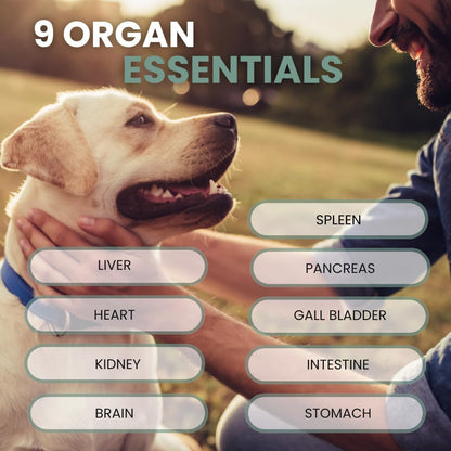 K9 Essentials Organ Supplement for Dogs, Human-Grade Grass Fed Freeze-Dried Beef Organ Powder, 9-Organ All-in-One Dog Multivitamin Meal Topper for Gut, Joint & Skin Support, 90g