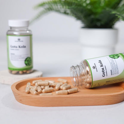 Nature Restore Gotu Kola Extract Supplement. Standardized to 10% Triterpenes - Maximum Potency 500mg Adaptogen for Brain Focus, Memory, Healthy Leg Circulation & Skin Elasticity - 90 Vegan Capsules