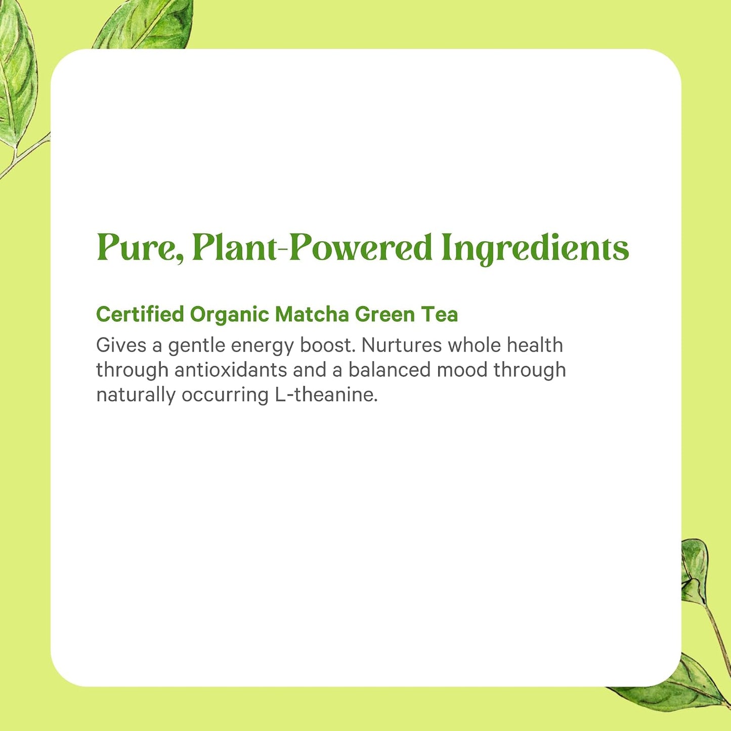 PURE SYNERGY Matcha Power | Organic Matcha Green Tea Capsules | Ceremonial Grade Supplement with EGCG | for Enhanced Energy & Alertness (90 Capsules)