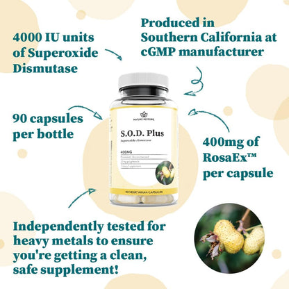 Superoxide Dismutase (SOD) Supplement Capsules. High SOD-Like Activity Enzyme for Cellular Aging & Longevity. 100% Vegan. Primary Master Antioxidant for Mitochondrial Support & Internal Skin Radiance
