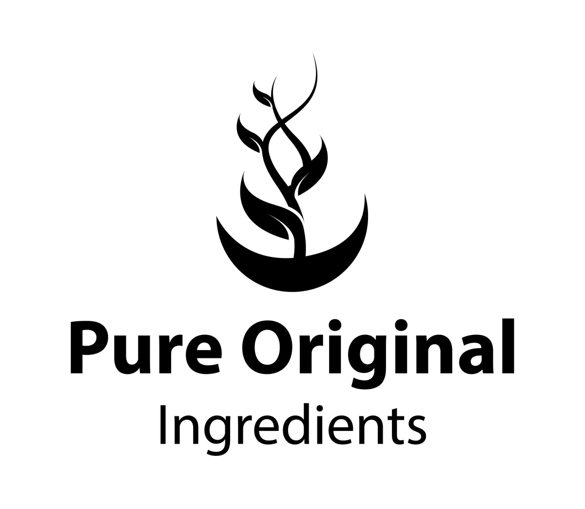 PURE ORIGINAL INGREDIENTS Caralluma Fimbriata (365 Capsules) No Magnesium Or Rice