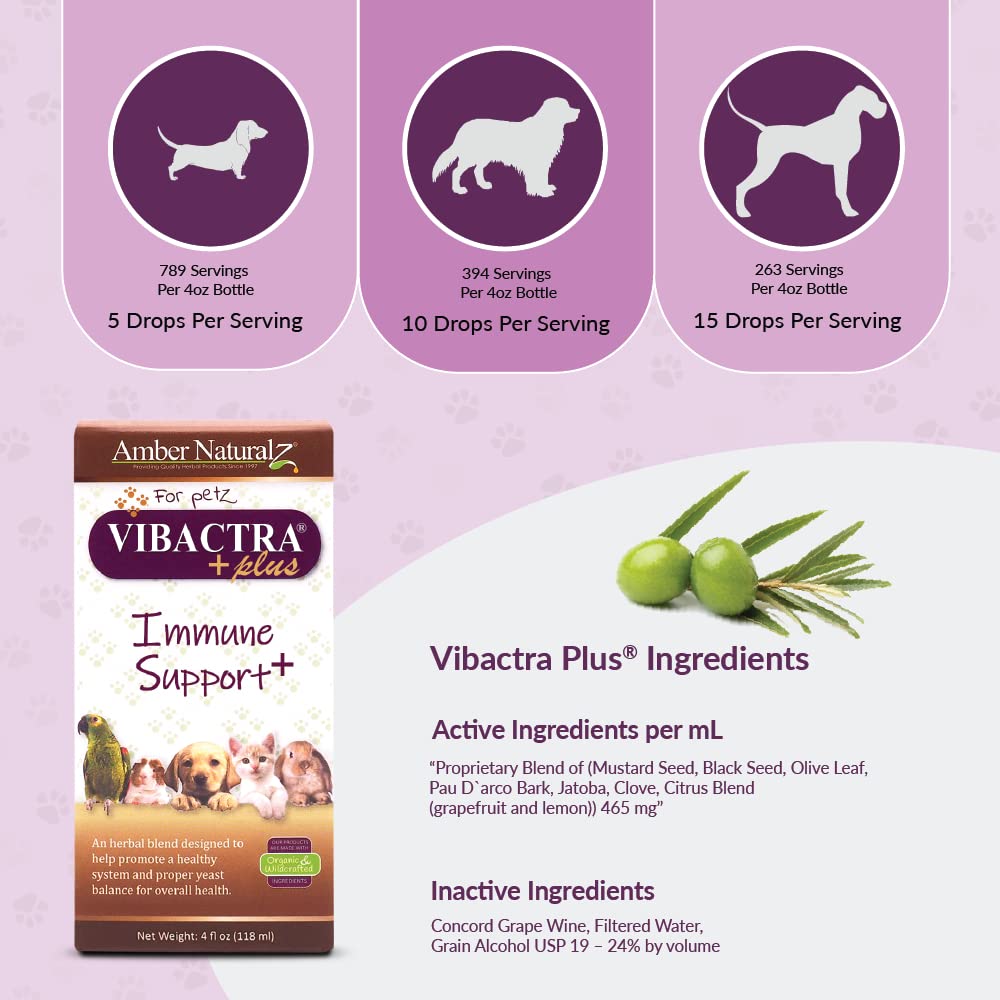 Amber NaturalZ Vibactra Plus for Pets, Immune Health & Yeast Balance, 1 OZ | Supports overall immune health, stomach & respiratory health, helps pets maintain normal yeast balance & a healthy microbiome