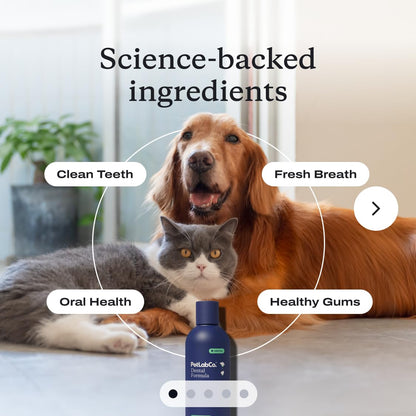 PetLab Co. Dental Formula for Dogs & Cats, Water Additive, 8 fl oz | Bad Breath, Plaque & Tartar Care with No Brushing - So Easy, Just Add To Water!