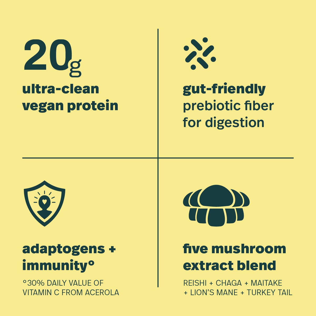 Sprout Living Epic Protein, Plant Based Protein & Superfoods Powder, Vanilla Lucuma Powder | 20 Grams Organic Protein Powder, Vegan, Non Dairy, Non-GMO, Gluten Free, Low Sugar (1 Pound, 12 Servings)