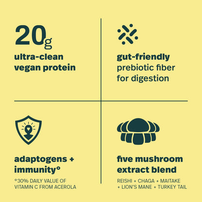 Sprout Living Epic Protein, Plant Based Protein & Superfoods Powder, Vanilla Lucuma Powder | 20 Grams Organic Protein Powder, Vegan, Non Dairy, Non-GMO, Gluten Free, Low Sugar (1 Pound, 12 Servings)