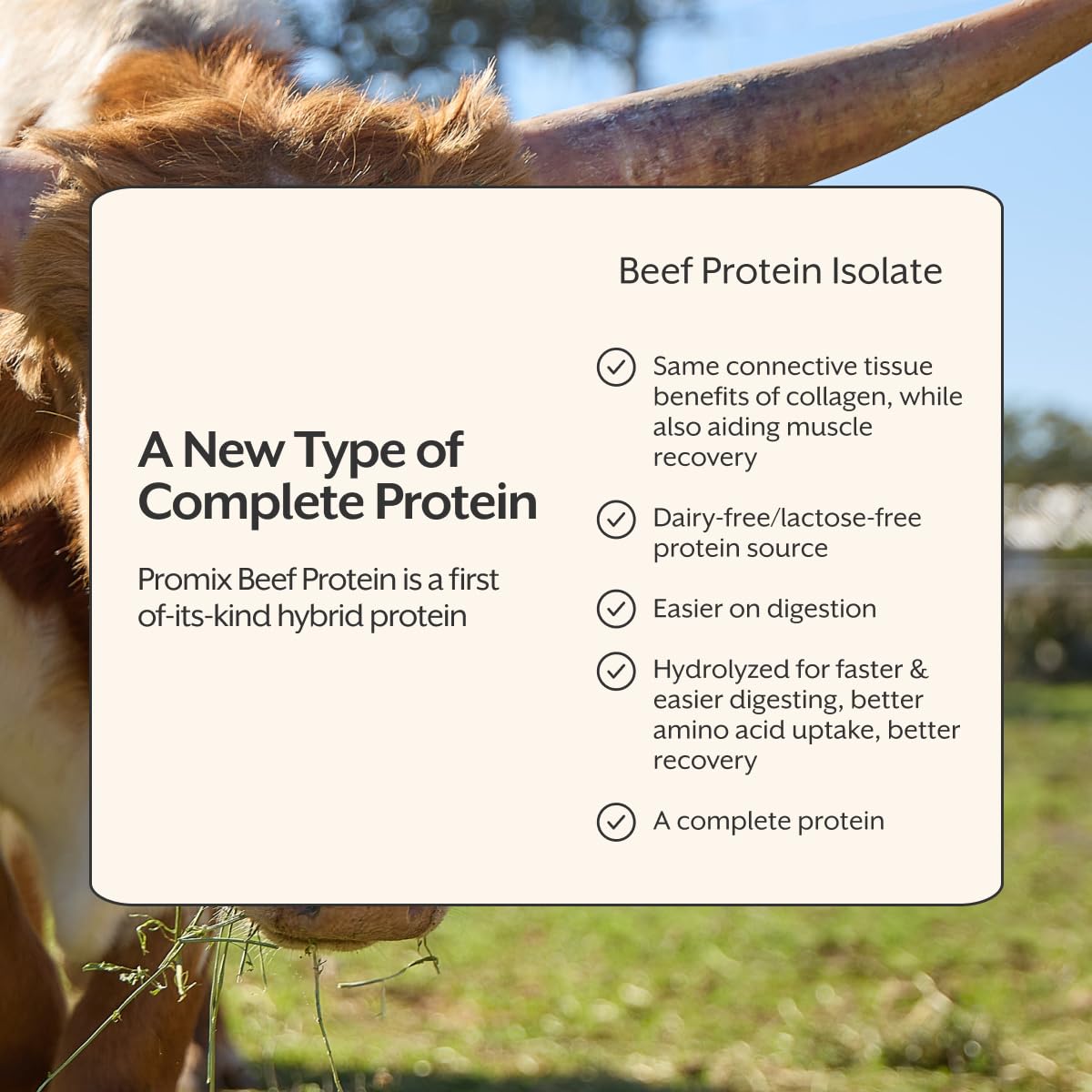 ProMix Nutrition Grass-fed Beef Protein Isolate - Unflavored - 30 Servings