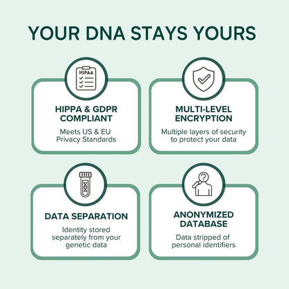 APOE4 Gene Test Kit: At-Home DNA Brain Health & Cognitive Genetic Analysis – Easy Cheek Swab – Personalized Genetic Insights – CLIA-Certified Lab