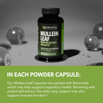 500mg Mullein Extract for Lung Support and Respiratory Health, 30 Count | Mullein Leaf Capsules for Respiratory Health, Vegan, Non-GMO Herbal Supplement for Overall Daily Wellness, 1 Month Supply