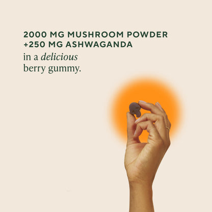 OM MUSHROOM SUPERFOOD Master Blend Mushroom Gummies – Organic 10-Mushroom Complex with Ashwagandha – Supports Immunity, Gut Health & Stress Relief – Mixed Berry Flavor – 28 Servings, 56 Count.