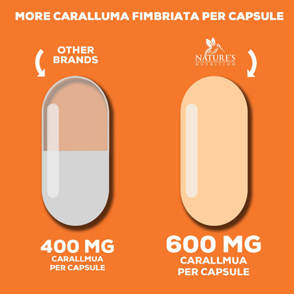 Pure Caralluma Fimbriata Extract Highly Concentrated 1200mg - Natural Endurance Support