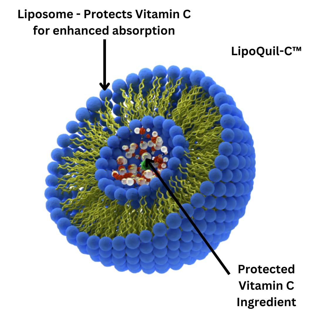 Advanced Bionetix Liposomal Vitamin C Supplement | LipoQuil-C™ Enhanced Absorption Technology | 120 Capsules 1000mg High Dose Fat Soluble Vita C | Immune Support Collagen Support