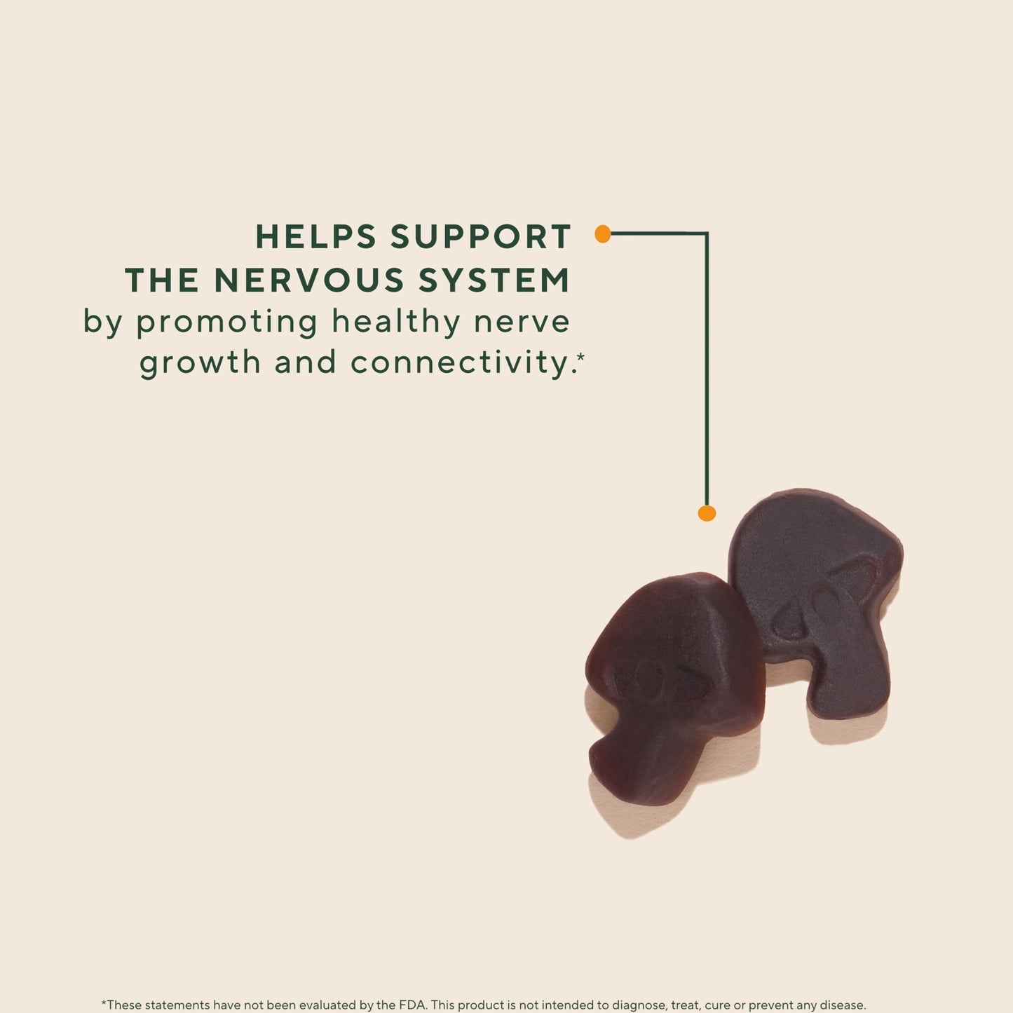 OM MUSHROOM SUPERFOOD Master Blend Mushroom Gummies – Organic 10-Mushroom Complex with Ashwagandha – Supports Immunity, Gut Health & Stress Relief – Mixed Berry Flavor – 28 Servings, 56 Count.
