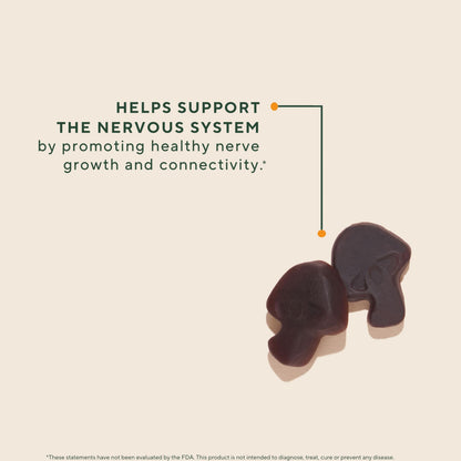 OM MUSHROOM SUPERFOOD Master Blend Mushroom Gummies – Organic 10-Mushroom Complex with Ashwagandha – Supports Immunity, Gut Health & Stress Relief – Mixed Berry Flavor – 28 Servings, 56 Count.