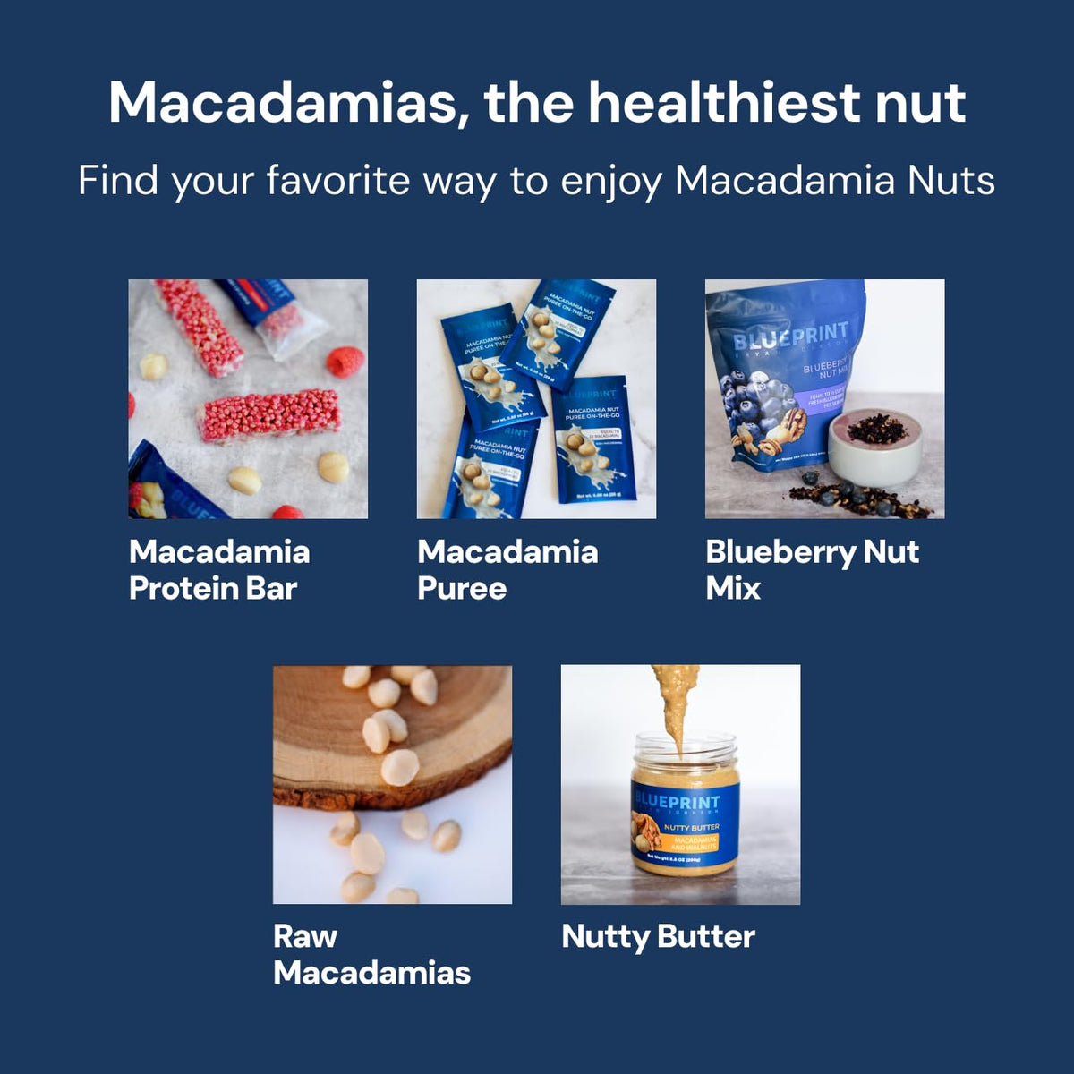 Blueprint Bryan Johnson Raw Macadamia Nuts - No Palm Oil - Keto and Low Carb Snack - No Added Sugar, Vegan, Non GMO, Keto and Paleo Friendly (4 Ounces) (Pack of 2)
