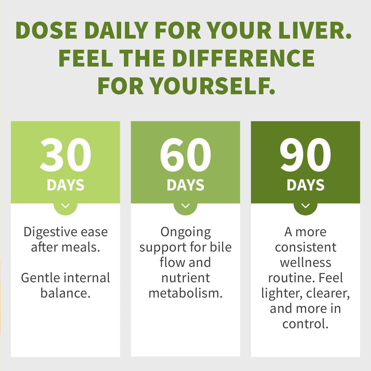 MEDCHOICE Milk Thistle Liver Support Supplement with NAC & Artichoke, 90ct