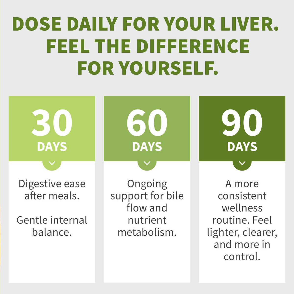 MEDCHOICE Milk Thistle Liver Support Supplement with NAC & Artichoke, 90ct