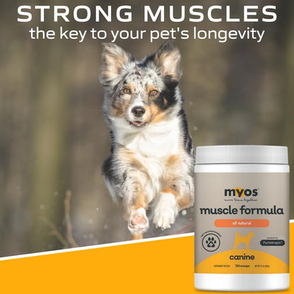 Powered by Fortetropin All-Natural Dog Muscle Builder and Mobility Support Supplement for Strength and Recovery - Helps Reduce Muscle Loss Due to Normal Aging, 360g