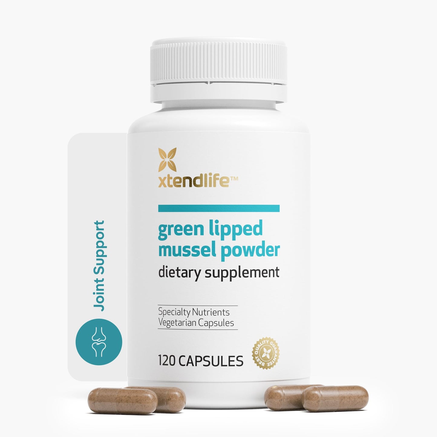 Xtend-Life | Green Lipped Mussel Powder | Extra Strength New Zealand Green Lipped Mussel 2400mg per Serving | for Joint Health & Inflammation Management | 120 Capsules (one Month Supply)