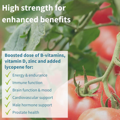 Men's Multivitamin, Methylated B-Vitamins, Clean Label & Vegan, High Strength Formula