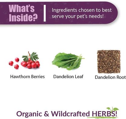 Amber NaturalZ Hawthorn & Dandelion for Pets, Heart & Circulation Care, 1oz | Maintains optimal cardiovascular wellness in pets. Supports normal heart function, healthy blood circulation & fluid balance.