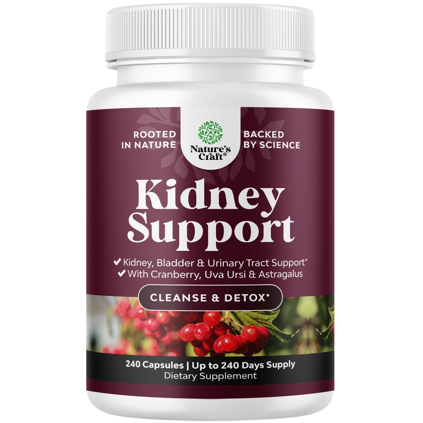 Advanced Kidney Support Supplement - Kidney Cleanse Detox & Repair Cranberry Extract Capsules with Uva Ursi, Stinging Nettle & Astragalus for Kidney Health - Urinary Tract Health - 60 Count