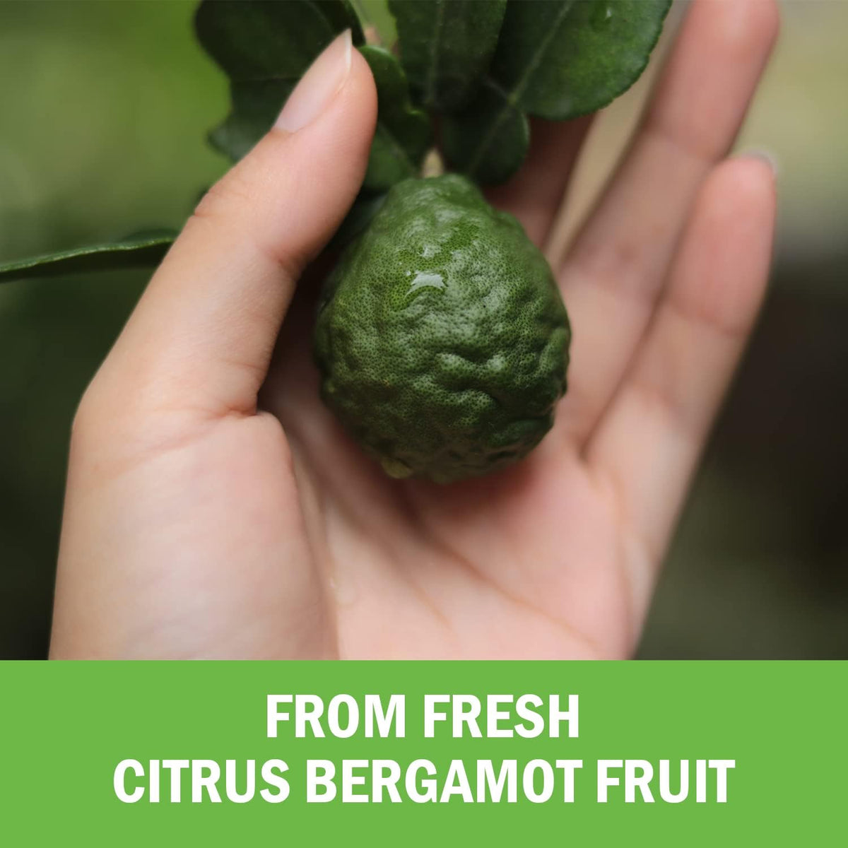Citrus Bergamot 1000mg - Citrus Bergamot Supplement - 120 Mini Capsules