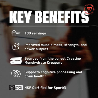 BARE PERFORMANCE NUTRITION, BPN Pure Creatine Monohydrate Powder by Creapure, 5g of Creatine per Serving, Supports Muscle Growth, Unflavored Creatine Powder, 60 Servings | 5g of Creatine per Serving, Supports Muscle Growth for Increased Strength, Power an