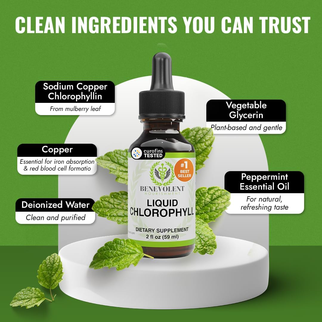 Benevolent Nourishment Chlorophyll Supplement, Detox & Immune Support, Internal Deodorizer, Liquid Drops