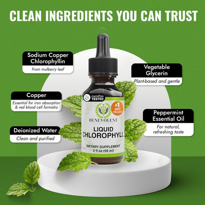 Benevolent Nourishment Chlorophyll Supplement, Detox & Immune Support, Internal Deodorizer, Liquid Drops
