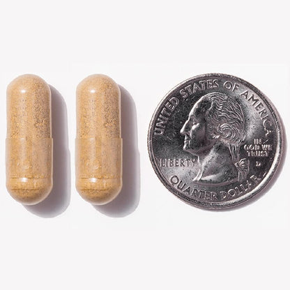 Core-45 + Probiotics Bariatric Multivitamin | Capsule | 180 Ct | ProCare Health | Bariatric Multivitamin + Probiotics | 45mg Iron | 180 Count | 3 Month Supply