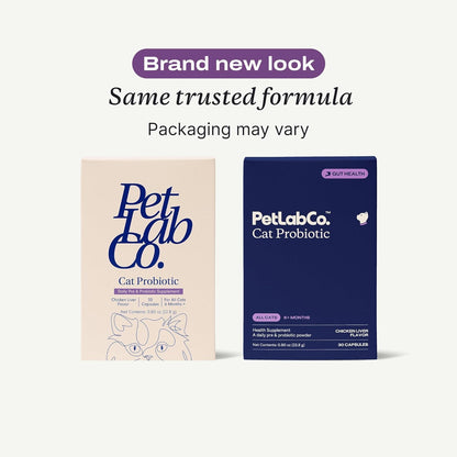 PetLab Co. Probiotics for Cats, Gut & Digestive Support, 30 Capsules | 6-strain blend with 2.1 billion CFUs and pumpkin prebiotic to support digestive function and healthy stool
