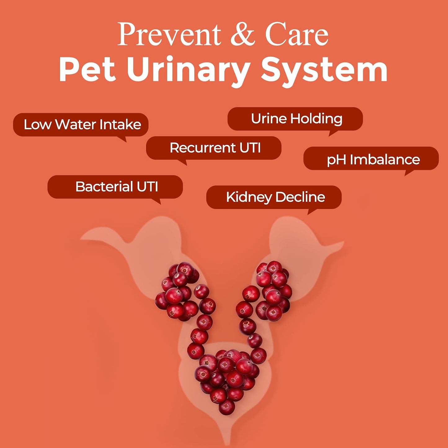 NATURE TARGET Dog UTI Treatment, Cranberry Supplement for Dogs 120 Chews | Urinary Tract & Bladder Support with D-Mannose, Marshmallow, Astragalus – Vet Formulated Immune & Kidney Support – Chicken
