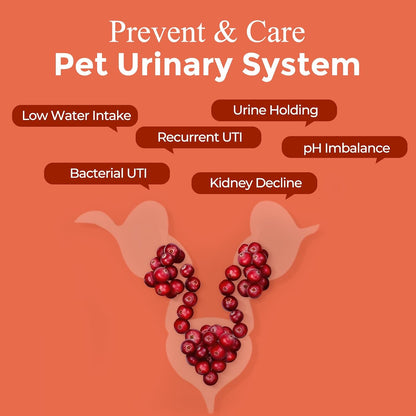 NATURE TARGET Dog UTI Treatment, Cranberry Supplement for Dogs 120 Chews | Urinary Tract & Bladder Support with D-Mannose, Marshmallow, Astragalus – Vet Formulated Immune & Kidney Support – Chicken