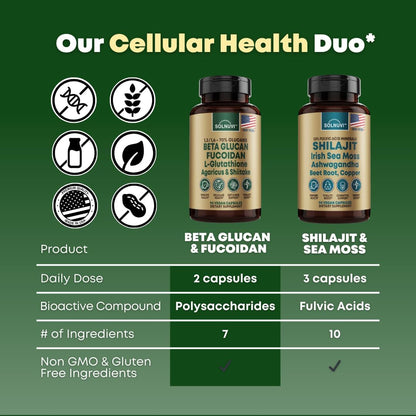 Beta Glucan & Fucoidan Brown Seaweed Extract - L Glutathione, Shiitake, Agaricus Blazei Mushroom, Vitamin C - Immune, Cellular, Healthy Aging Support - 90 Capsules, Non GMO, Gluten Free Supplement