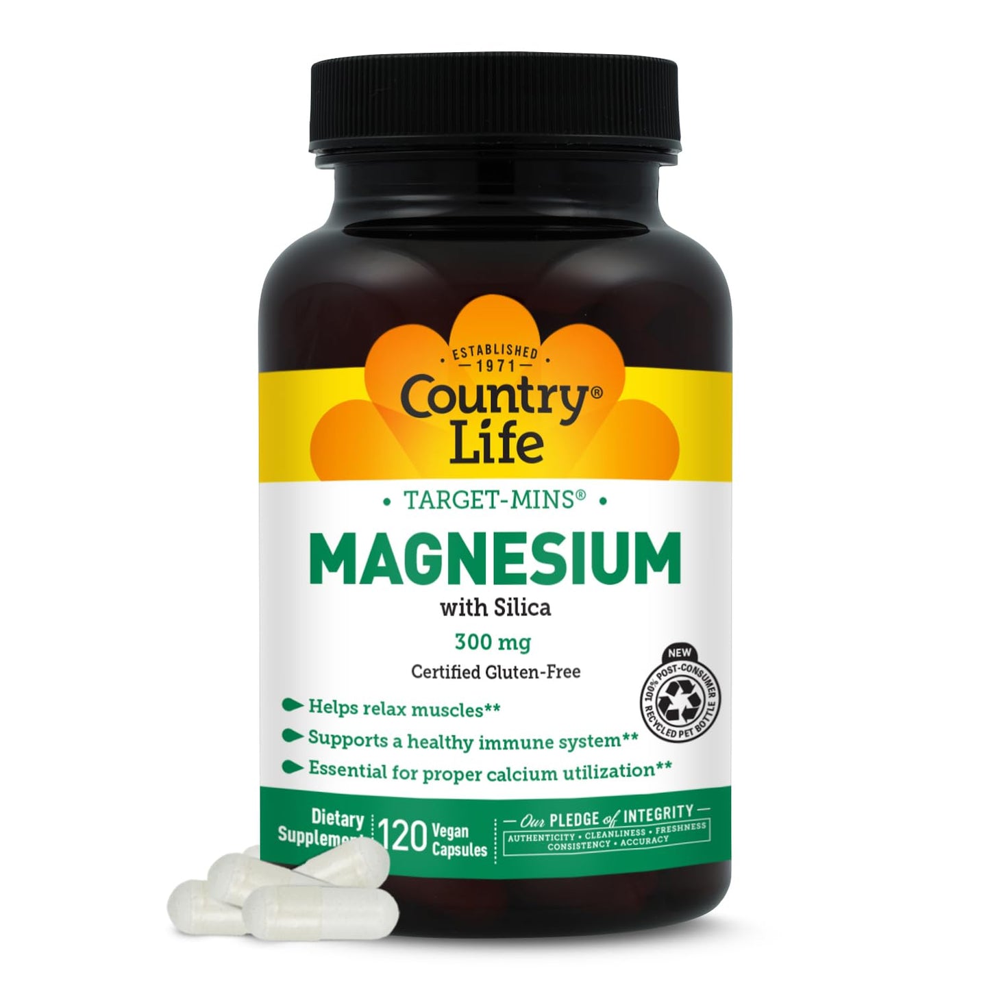 Target-Mins Magnesium with Silica 300 mg 120 Vegetarian Capsules | Vegan, gluten-free blend of 5 magnesium forms. Supports muscle, bone, and immune health