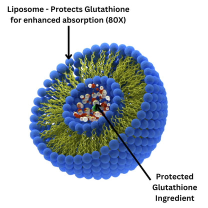 Research Labs Liposomal Glutathione Supplement w/Gluta-IV™, 100x Enhanced Absorption Over Powder Glutathione. 2 Fer 1 Ad, 120 Total Liposomal Softgels