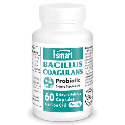 Supersmart - Bacillus Coagulans Probiotic 4 Billion CFU per Day (High Absorption) 