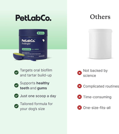 PetLab Co. ProBright Dental Powder for Small Dogs, 30 Scoops | Brown algae, green tea and probiotics in one easy daily scoop to support tartar and fresh breath