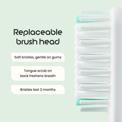 Quip Sonic Electric Toothbrush for Adults, Extra Brush Head, Marine Blue