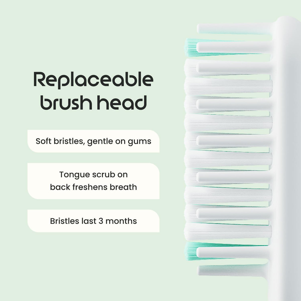 Quip Sonic Electric Toothbrush, Extra Brush Head, Metal Handle, Slate