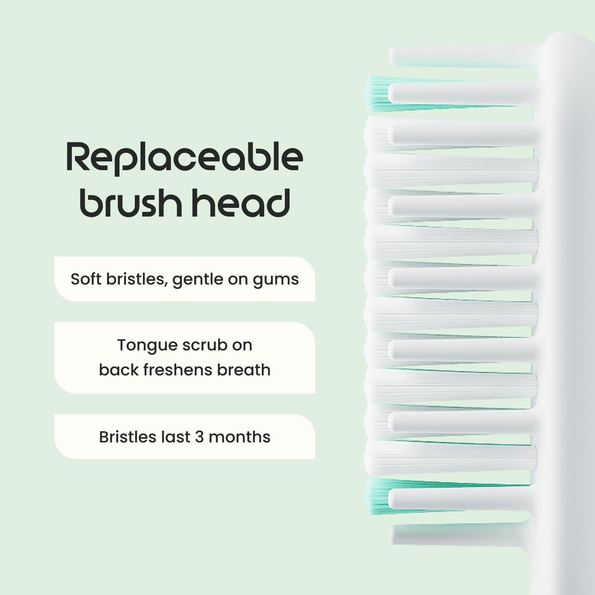 Quip Sonic Electric Toothbrush, Extra Brush Head, Metal Handle, Slate