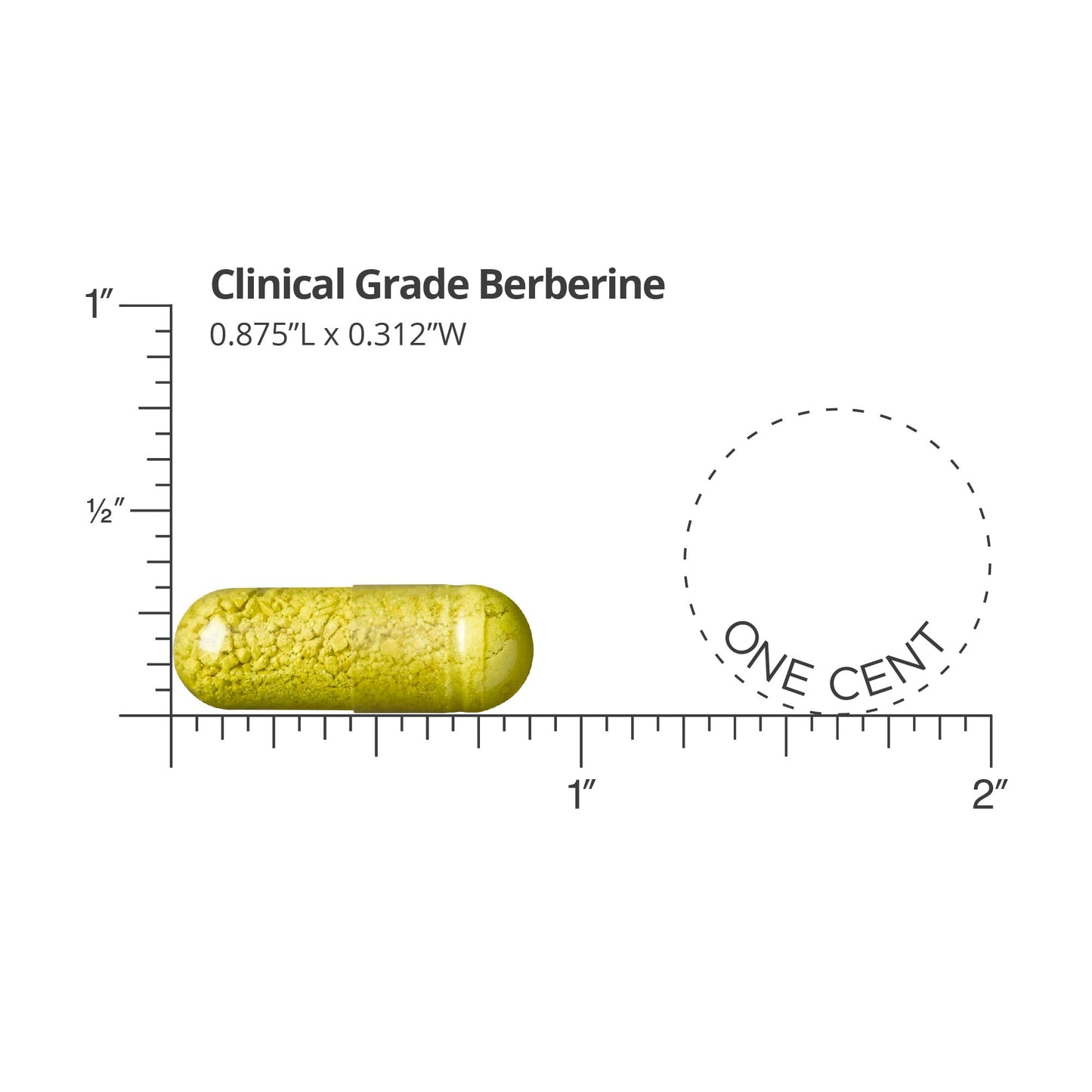 Dr. Whitaker Clinical Grade Berberine | 1,500mg Per Daily Serving | 30 Day Supply