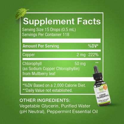 Benevolent Nourishment Chlorophyll Supplement, Detox & Immune Support, Internal Deodorizer, Liquid Drops