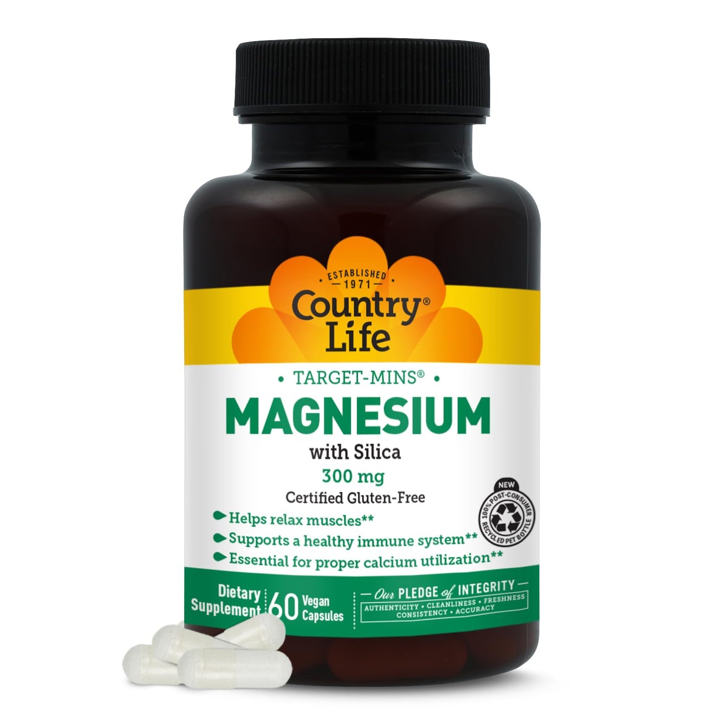 Target-Mins Magnesium with Silica 300 mg 120 Vegetarian Capsules | Vegan, gluten-free blend of 5 magnesium forms. Supports muscle, bone, and immune health