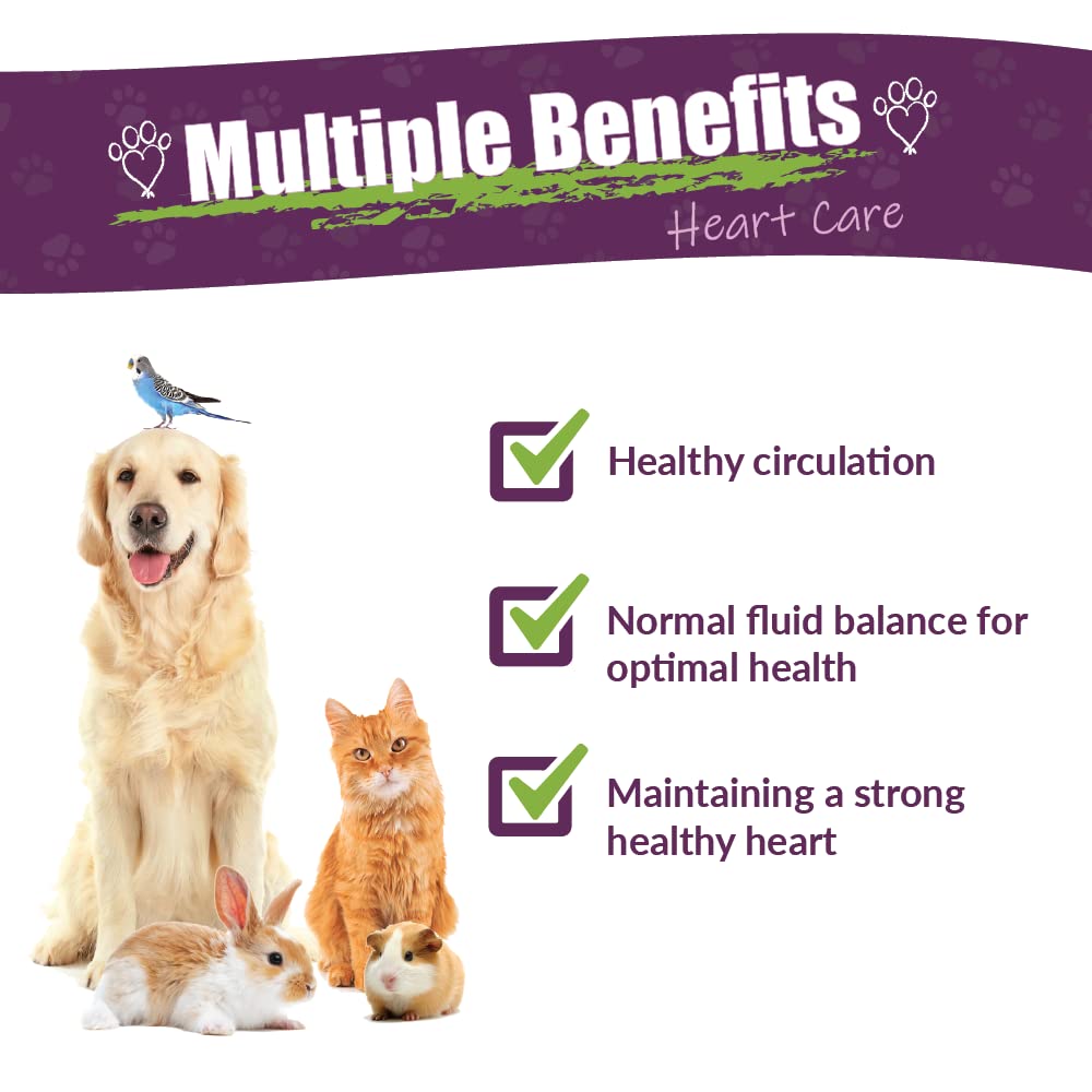 Amber NaturalZ Hawthorn & Dandelion for Pets, Heart & Circulation Care, 1oz | Maintains optimal cardiovascular wellness in pets. Supports normal heart function, healthy blood circulation & fluid balance.