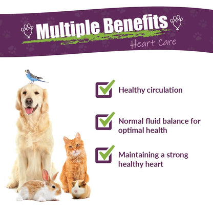 Amber NaturalZ Hawthorn & Dandelion for Pets, Heart & Circulation Care, 1oz | Maintains optimal cardiovascular wellness in pets. Supports normal heart function, healthy blood circulation & fluid balance.