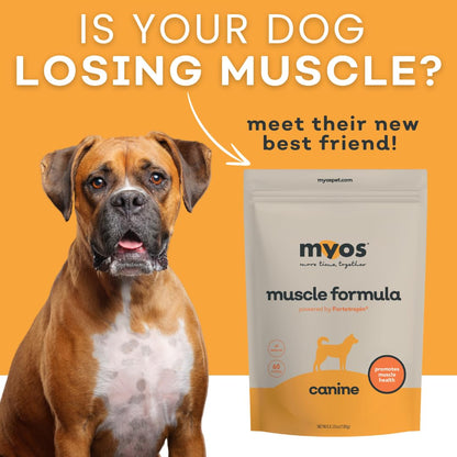 Powered by Fortetropin All-Natural Dog Muscle Builder and Mobility Support Supplement for Strength and Recovery - Helps Reduce Muscle Loss Due to Normal Aging, 360g