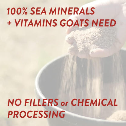 Redmond Goat Mineral Supplement - A Premium sea Salt with Essential Trace Minerals and Vitamins (5 LB)